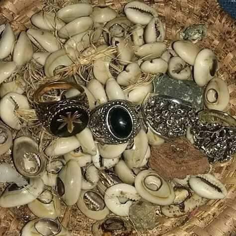 whatsapp image 2025 11 30 at 11.11.22 (1)